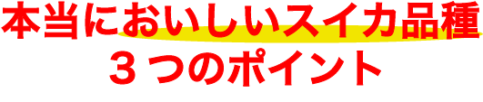 本当においしいスイカ品種3つのポイント