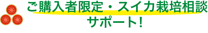 ご購入者限定・スイカ栽培相談サポート！