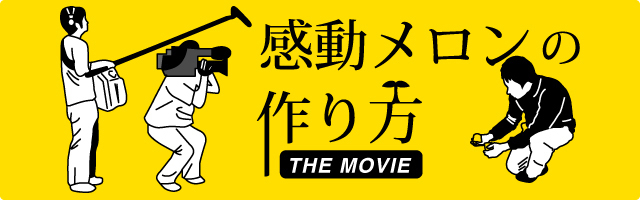 動画で見る感動メロンの栽培レポート