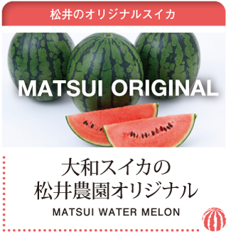 matsui original